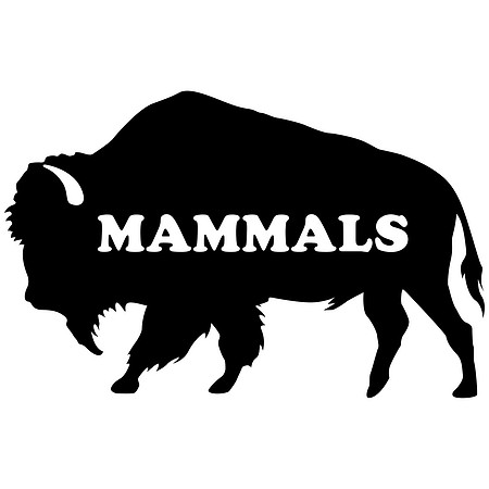 MAMMALS