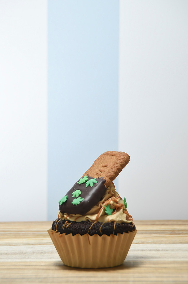 Food Photography