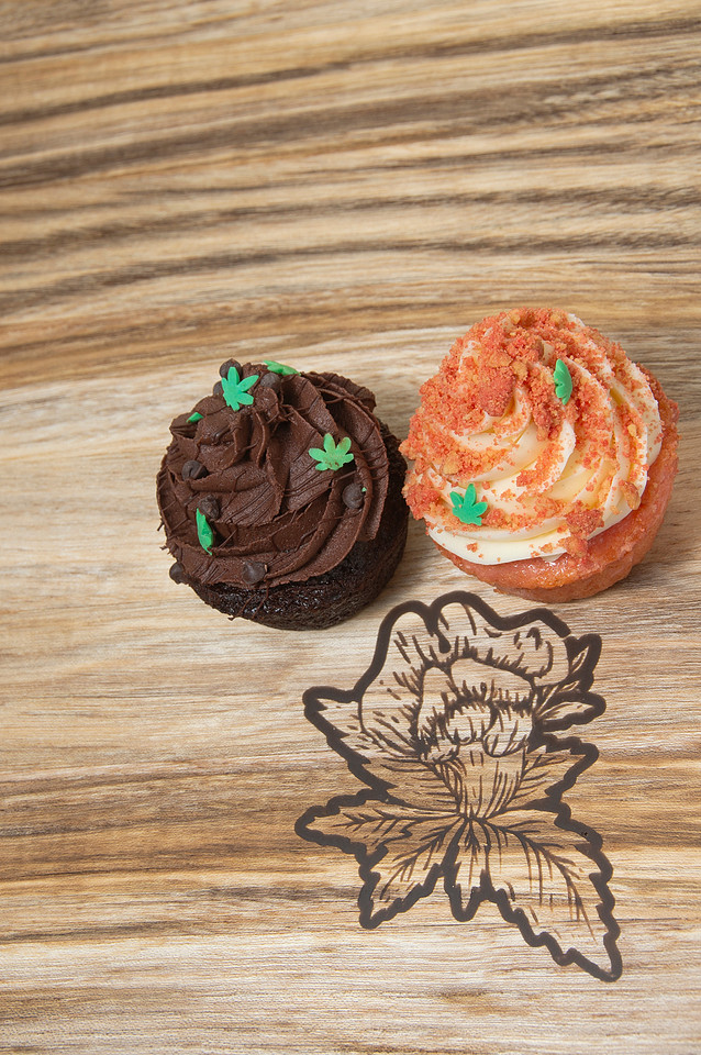 Food Photography