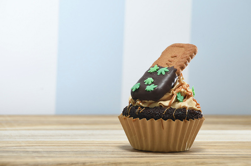 Food Photography