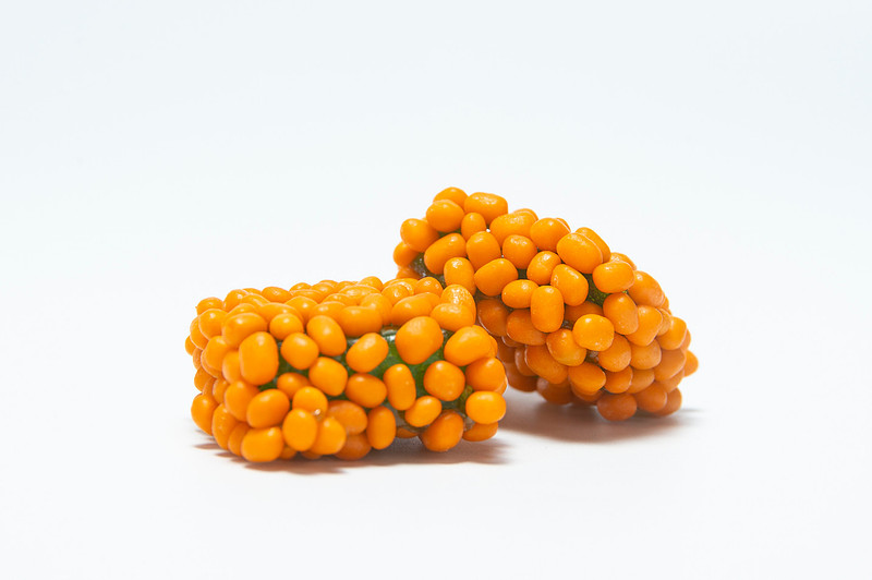 Product Photography for Snapdragon Hemp in Chattanooga Tennessee