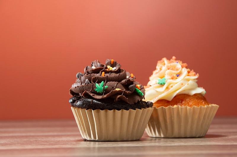 October Photography Highlights from The Snapdragon Bakery