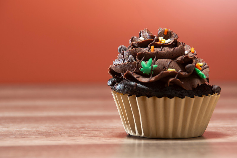 October Photography Highlights from The Snapdragon Bakery