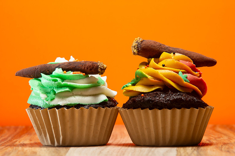 October Photography Highlights from The Snapdragon Bakery