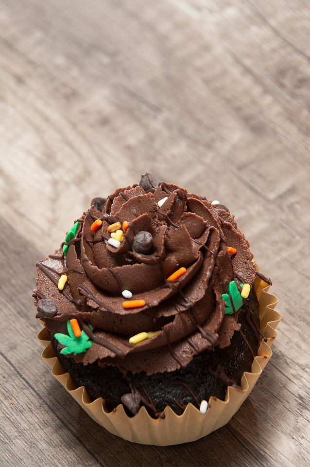 October Photography Highlights from The Snapdragon Bakery