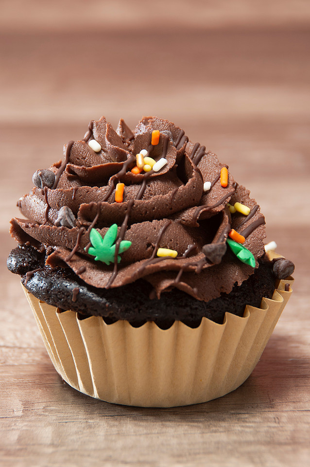 October Photography Highlights from The Snapdragon Bakery