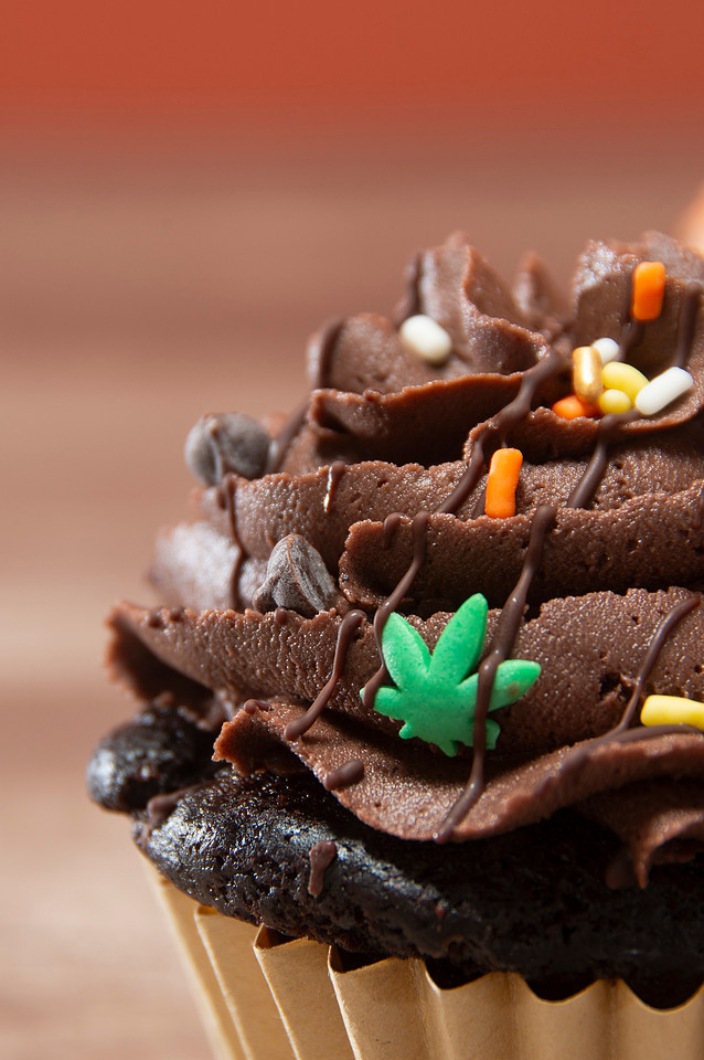 October Photography Highlights from The Snapdragon Bakery