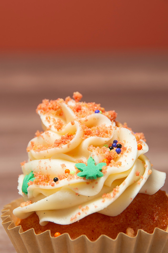 October Photography Highlights from The Snapdragon Bakery