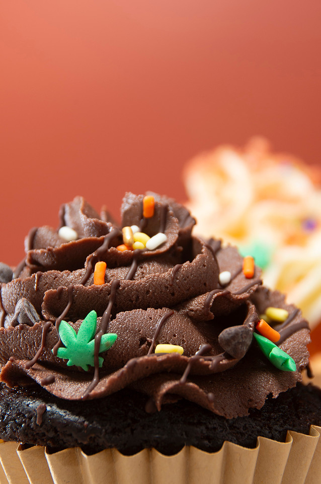 October Photography Highlights from The Snapdragon Bakery