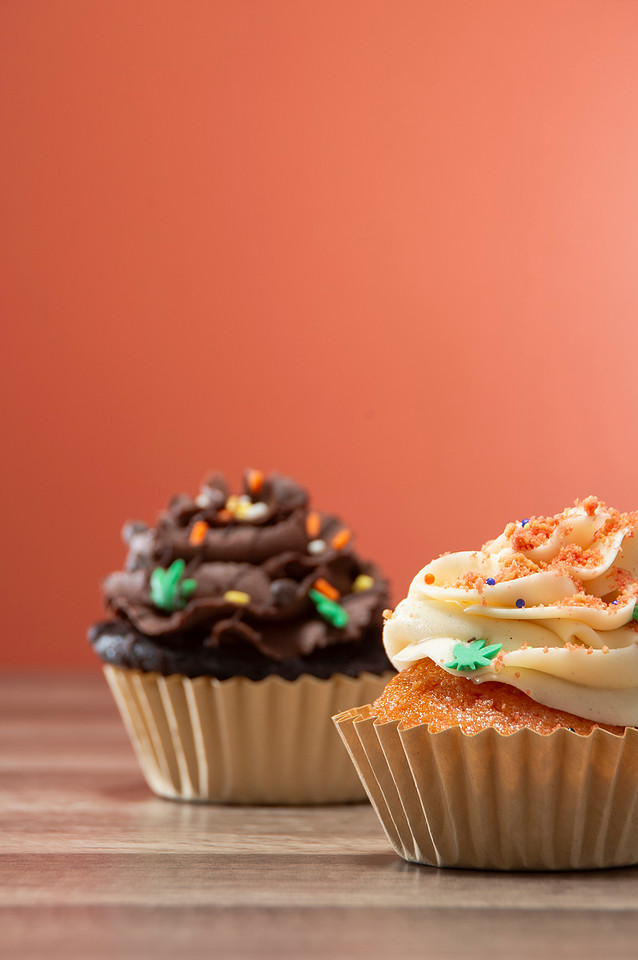 October Photography Highlights from The Snapdragon Bakery