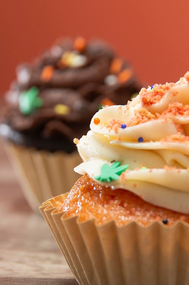 October Photography Highlights from The Snapdragon Bakery