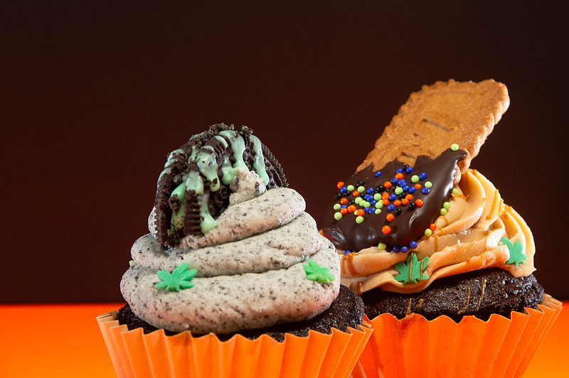 October Photography Highlights from The Snapdragon Bakery