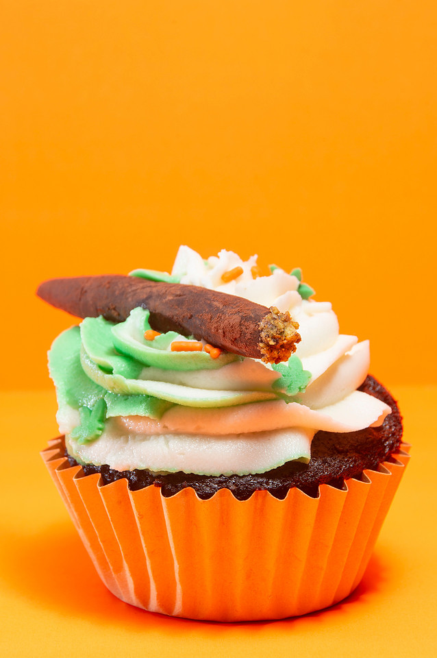 October Photography Highlights from The Snapdragon Bakery
