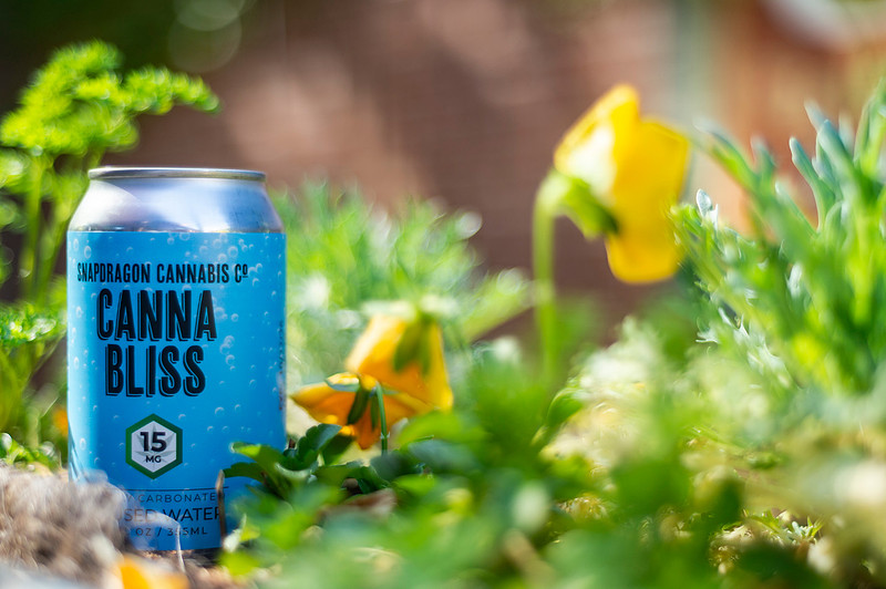 Canna Bliss - Unique Product Photography - Chattanooga Tennessee