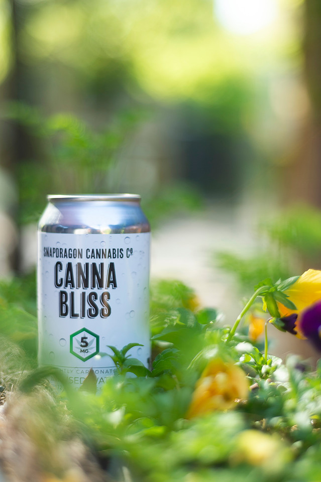 Canna Bliss - Unique Product Photography - Chattanooga Tennessee