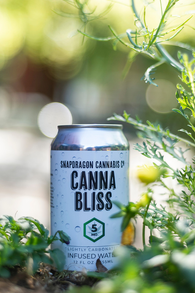 Canna Bliss - Unique Product Photography - Chattanooga Tennessee