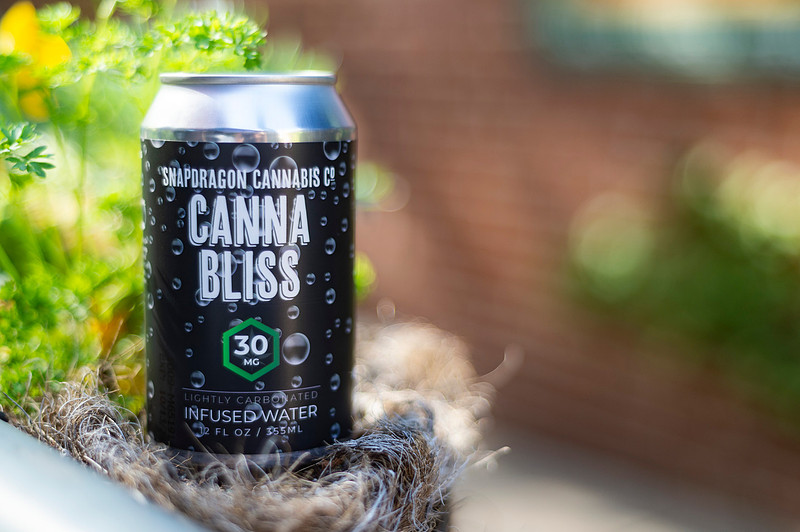 Canna Bliss - Unique Product Photography - Chattanooga Tennessee