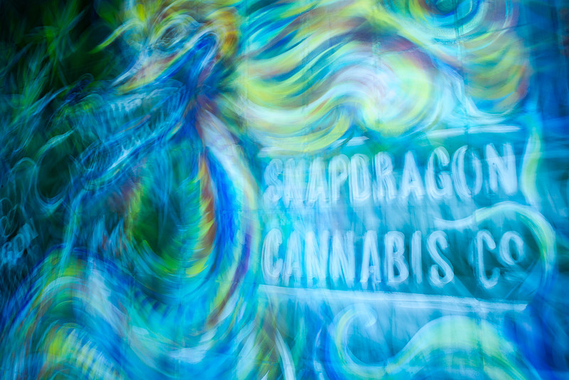 Alternative Photographer Chattanooga Tennessee