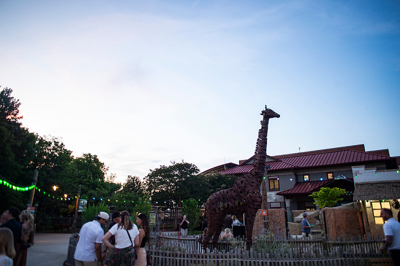 Spirits in the Wild - Snapdragon crashes spirits party at the Chattanooga Zoo!