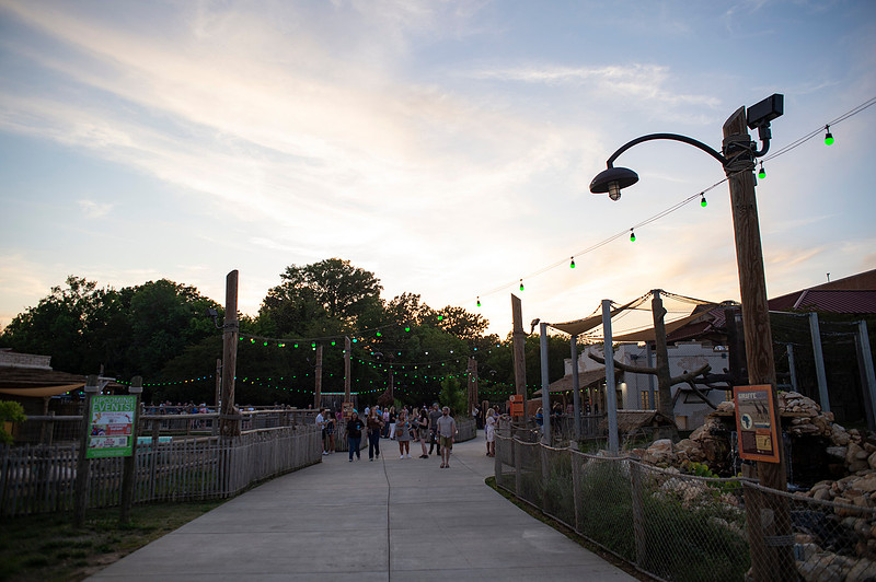 Spirits in the Wild - Snapdragon crashes spirits party at the Chattanooga Zoo!
