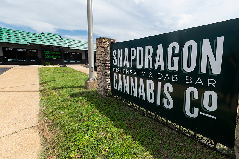 Snapdragon Amnicola Branding Photography Chattanooga Tennessee