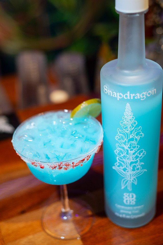 Zero Proof - Snapdragon Cannabis Spirit - Branding Photography for Snapdragon Cannabis Co. Chattanooga Tennessee 